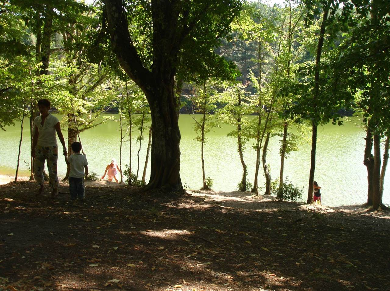 Vieste.Foresta.Umbra.Laghetto.jpg